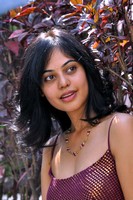 Bindu Madhavi Photo Gallery